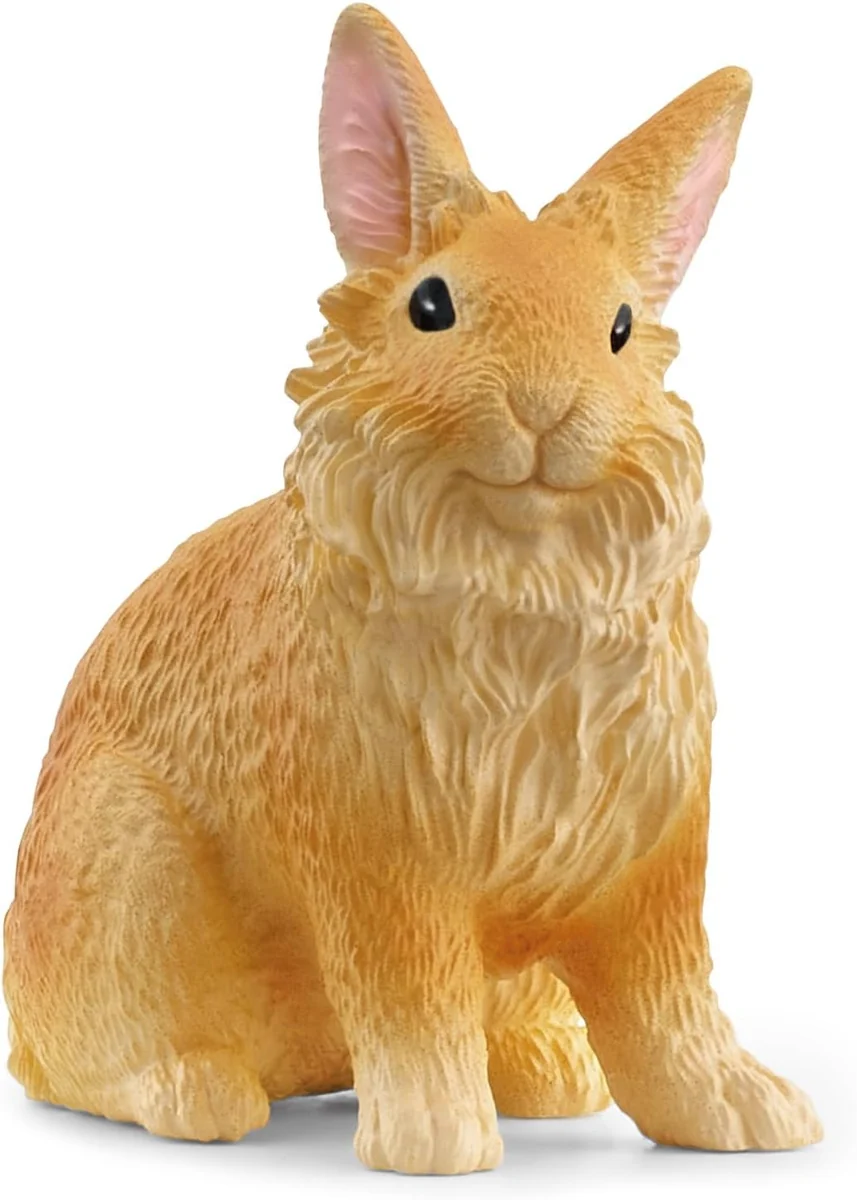 Smooth Lionhead Rabbit Unique