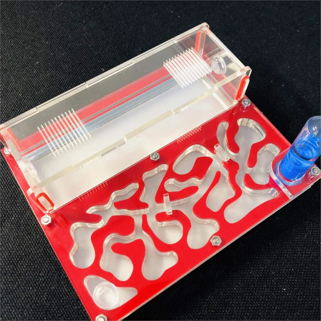 Eco-Friendly ANT 150mmx110mm Test Tube Moisture Big Space Nest Farm Acrylic Insect Villa House Ecological Workshop red Recyclable