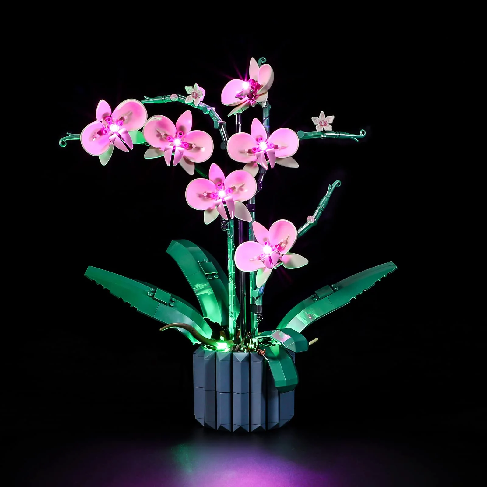 World-Class LIGHTAILING Light for Lego-10311 Orchid - Led Lighting Kit Compatible with Lego Building Blocks Model - NOT Included The Model Set Contemporary