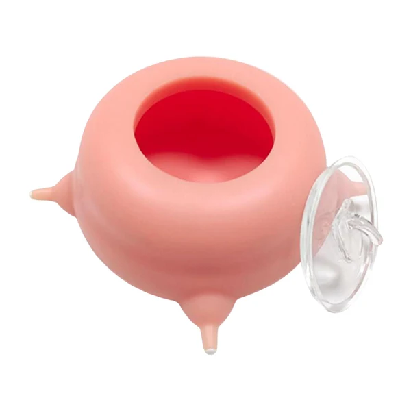 Fashionable Maxbell Pet Milk Feeding Device Newborn Puppy Feeder Multi Nozzles for Rabbit Kitten Stylish