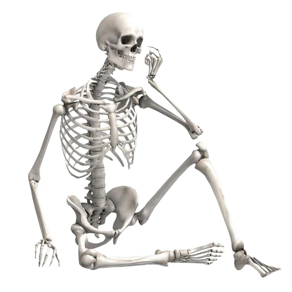 Trendy Maxbell 16 inch Halloween Skeleton Full Body for Photo Prop Lawn Haunted House Elite