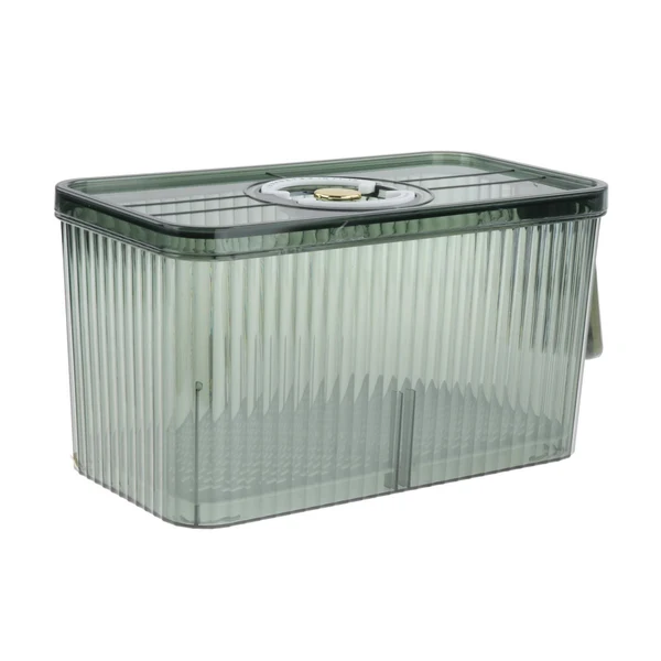 Easy-to-Use Maxbell Fridge Organizer Container with Handle with Freshness Timer Lid for Kitchen large green Exceptional