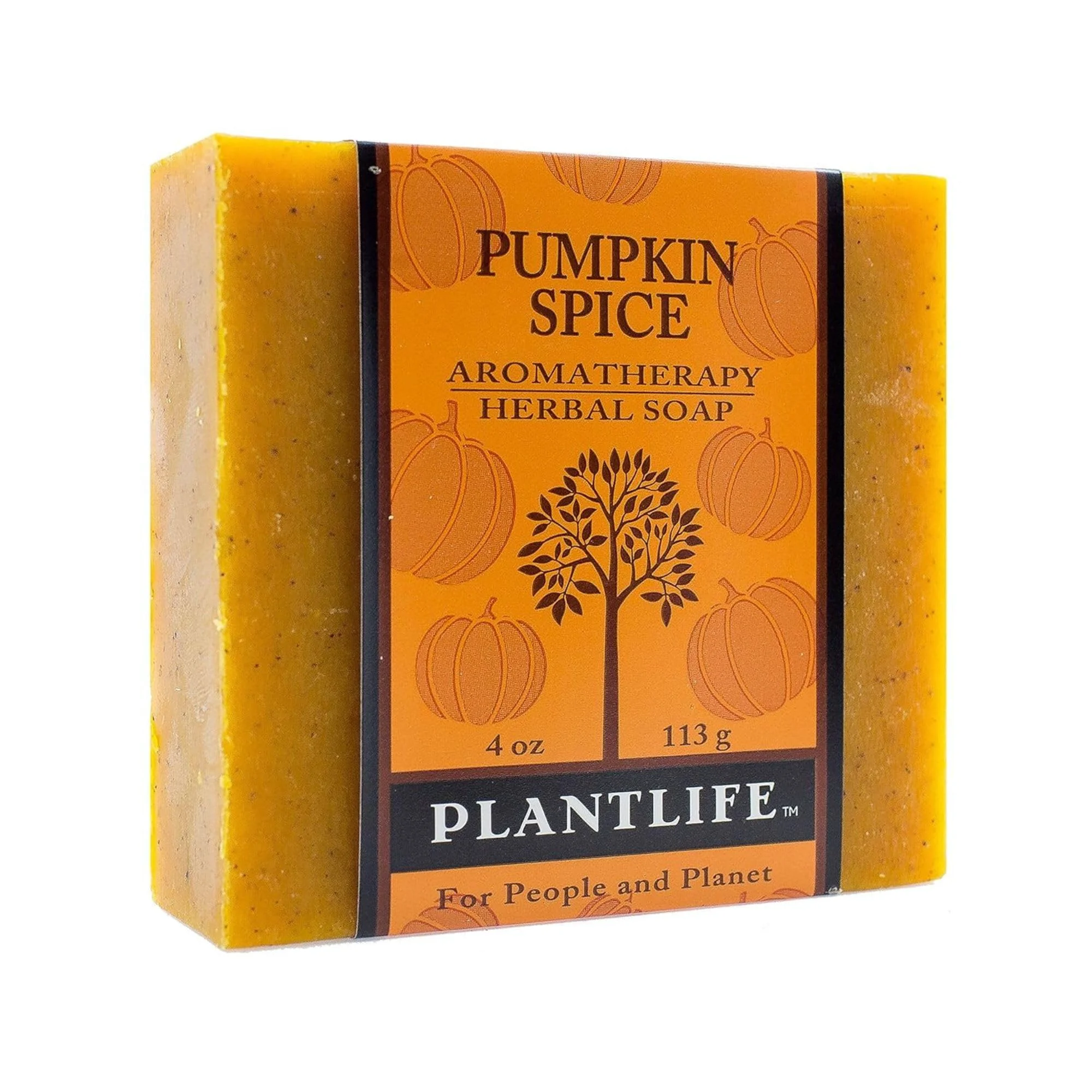 Elegant Plantlife Pumpkin Spice Bar Soap - Moisturizing and Soothing Soap for Your Skin - Hand Crafted Using Plant-Based Ingredients - Made in California 4oz Elite
