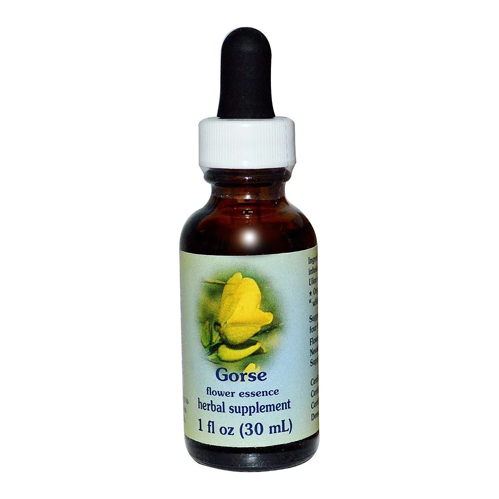 Carefully Designed Gorse Herbal Supplement Dropper By Flower Essence 1 Oz Organic