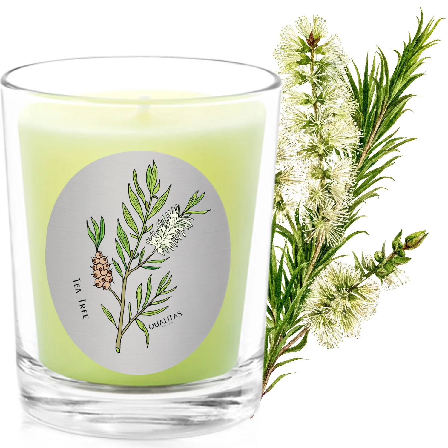 User-Friendly Qualitas Tea Tree Candle Reusable