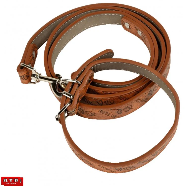 Long-Lasting Leather Small Dog Leash Next-Generation