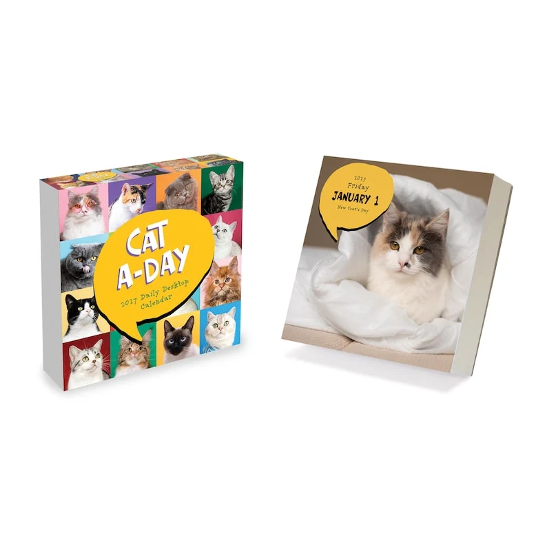 Convenient 2027 Cat a Day Daily Desktop Calendar Original