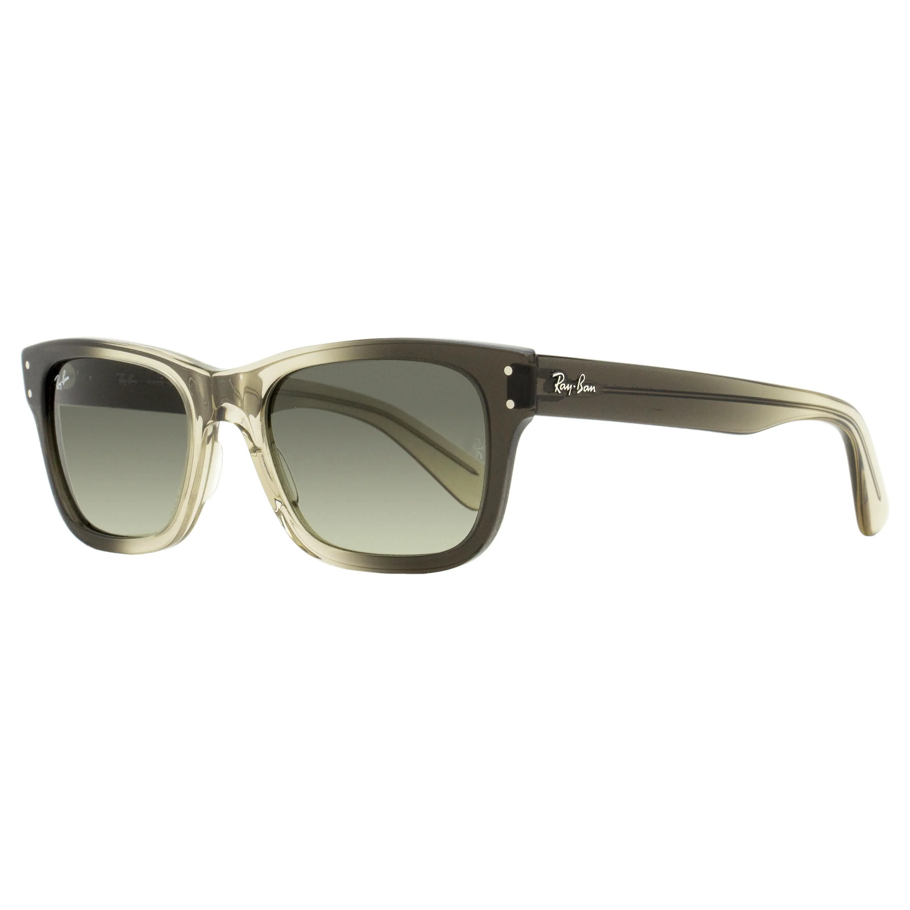 Classic Ray-Ban Burbank Sunglasses Professional