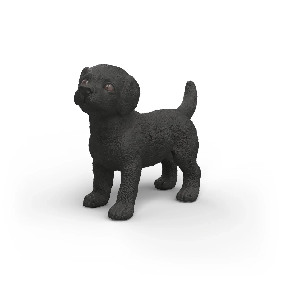 Effective Black Labrador Retriever Puppy Trusted