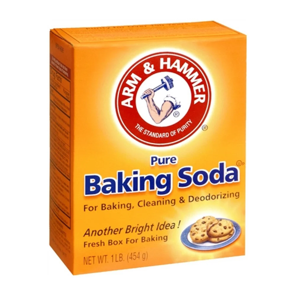 Efficient Arm Hammer Pure Baking Soda 16 Oz Modern