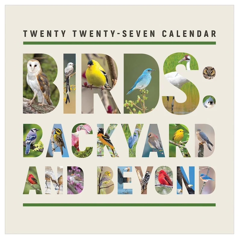 Contemporary 2027 Birds Backyard and Beyond Wall Calendar Superior