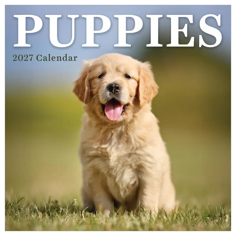 Long-Lasting 2027 Puppies Mini Calendar Excellent