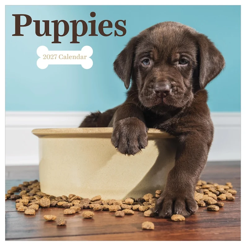 Recyclable 2027 Puppies Wall Calendar Premium