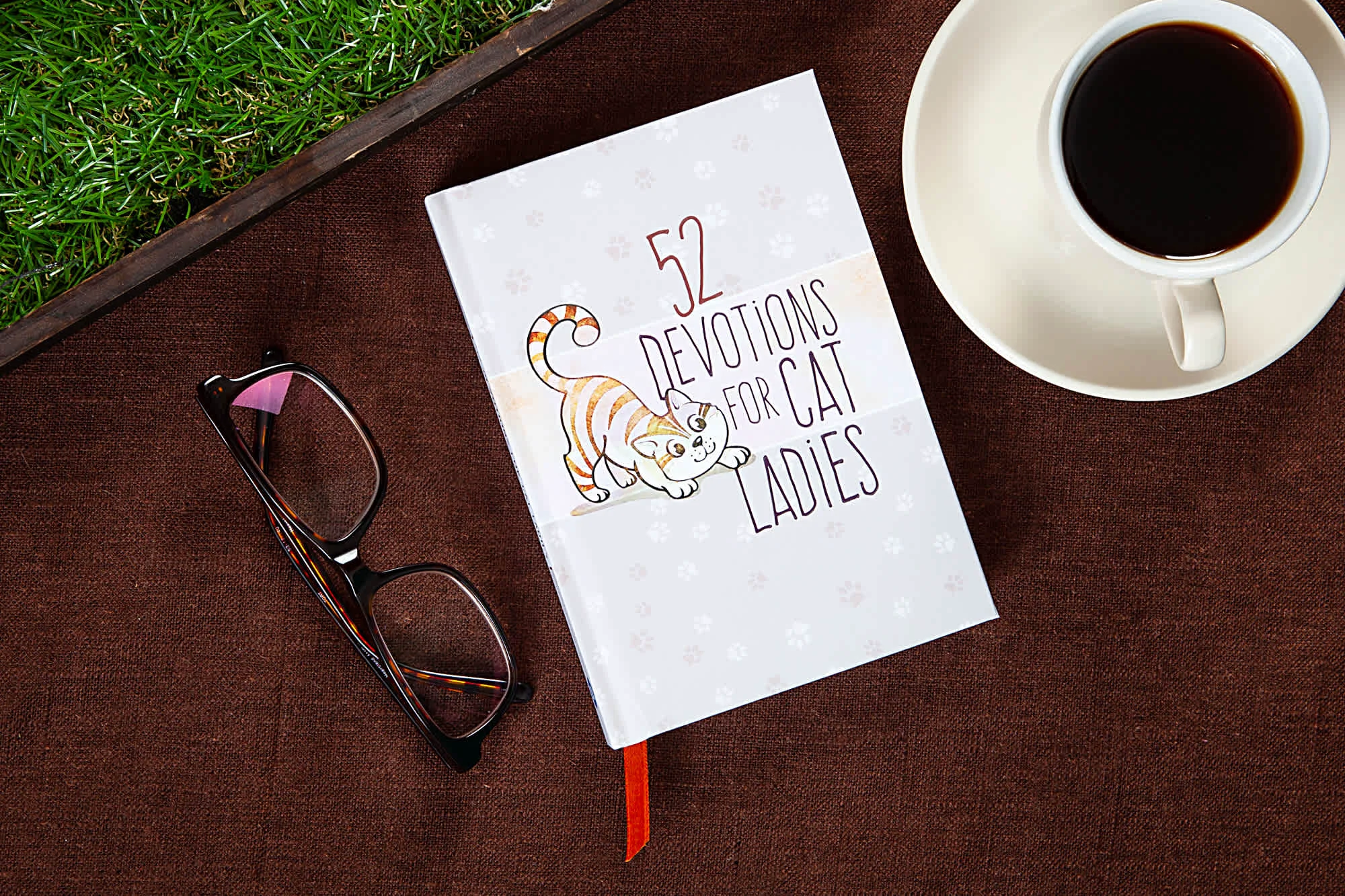 World-Class 52 Devotions for Cat Ladies Traditional